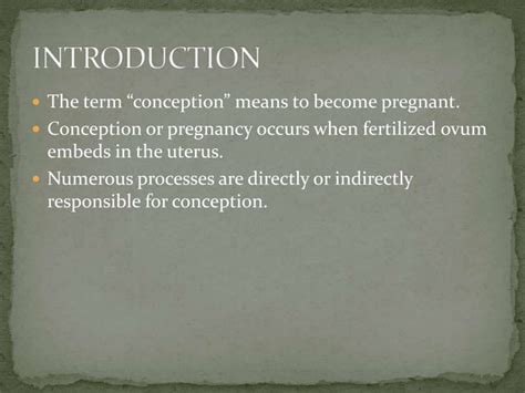 Conception Process Step by Step 的图像结果