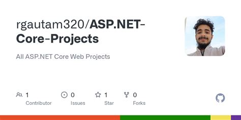 Create ASP.NET Projects 的图像结果