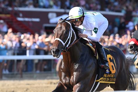 Life is Good - WinStar Farm