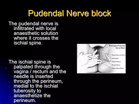 Ischiorectal-fossa.ppt