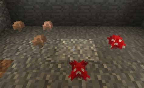 Image result for Create Mod Mushroom Tree Farm Minecraft