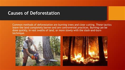 PPT - Causes and Effects of Deforestation PowerPoint Presentation, free download - ID:7920406