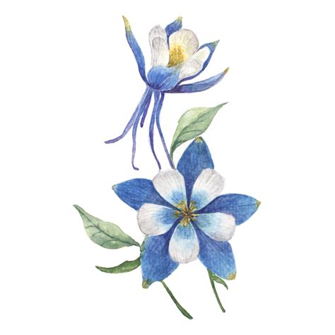 Watercolor painting of blue flower 21460599 PNG - painting of blue flowers