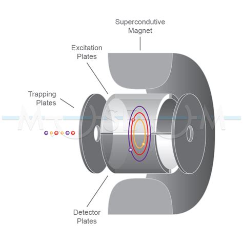 Image result for Orbitrap Mass Spectrum