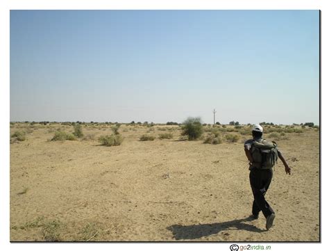 go2india.in : trekking in desert near Jaisalmer
