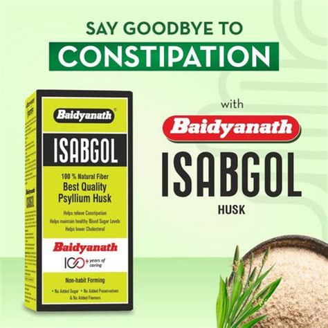 Baidyanath Isabgol Psyllium Husk Powder - 100gm | Digestive Health ...