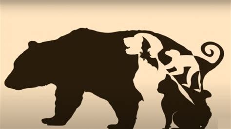 Image Quiz: इस तस्वीर में छिपे हैं 5 जानवर, 10 सेकंड में खोजने का ...