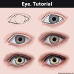 Image result for Nose Tutorial