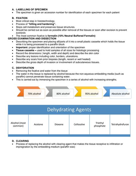 Tissue Processing in Histopathology 的图像结果