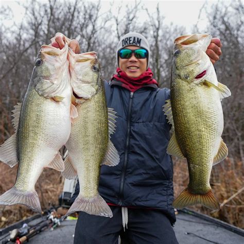 O.H. Ivie Lake Fishing Reports & Guides in Texas - FishTips | FishTips