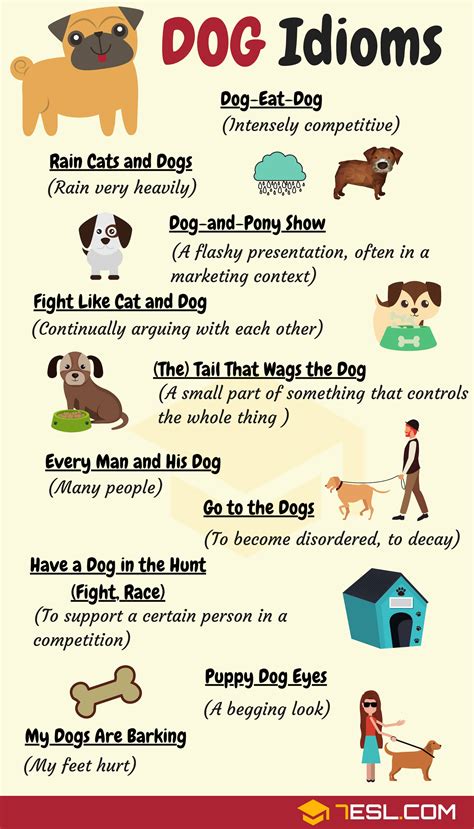 DOG Idioms: 16 Useful DOG Idioms and Sayings • 7ESL