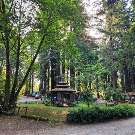 EMERALD FOREST CABINS & RV (Trinidad) - Campground Reviews, Photos ...