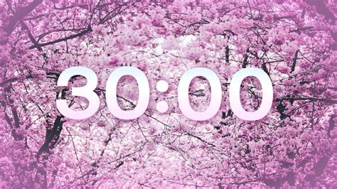 Spring Timer 10 Mins 的图像结果