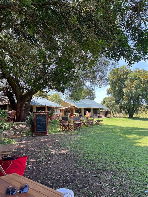 KICHECHE MARA NORTH (Kenya/Masai Mara National Reserve) - Campground ...