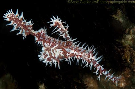 Image result for Diagonal Composition Photography Examples