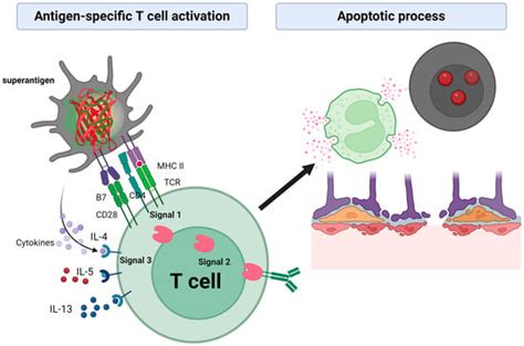 Staphylococcal Enterotoxins: Description and Importance in Food | MDPI