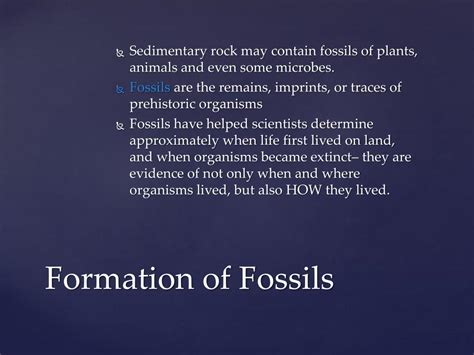 Formation of Fossils 的图像结果