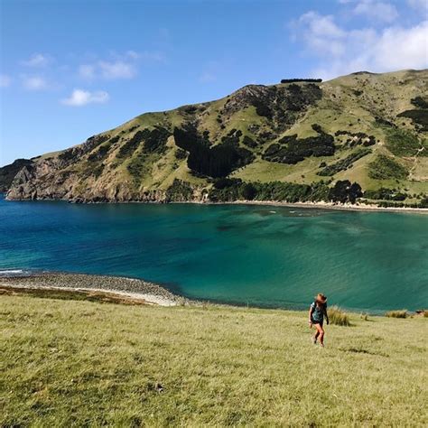 CABLE BAY HOLIDAY PARK (Nelson) - Campground Reviews & Photos - Tripadvisor
