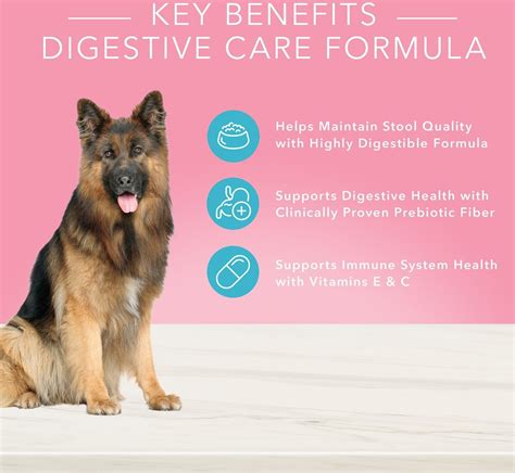 Blissful Belly Dog Food