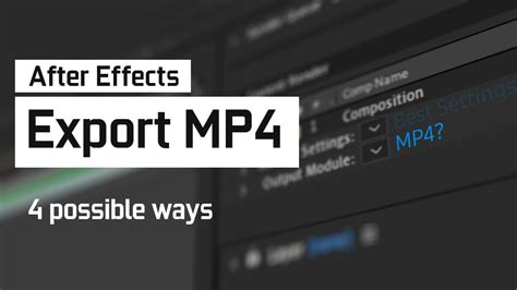 Export MP4 File 的图像结果