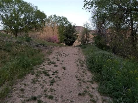 Palisade Basecamp RV Resort | Palisade, Colorado