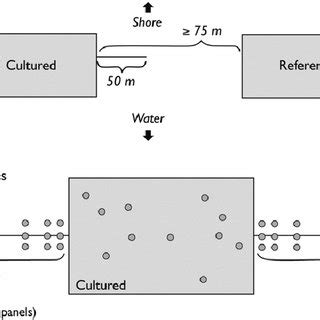 Image result for Layout Plan of Approach