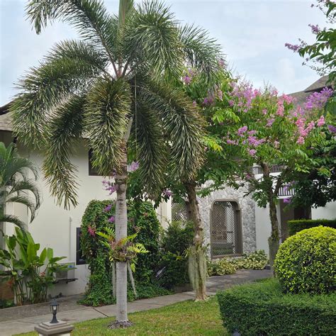BHU NGA THANI RESORT & VILLAS RAILAY (Krabi/Railay Beach) - Resort ...