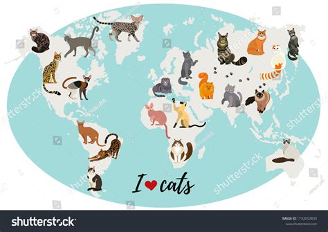 Map Of The World Looks Like A Cat