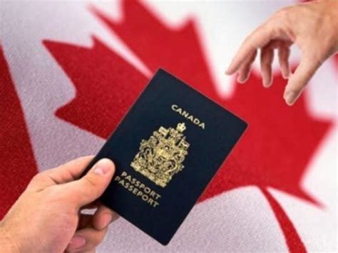 加拿大将或在沈阳设签证中心