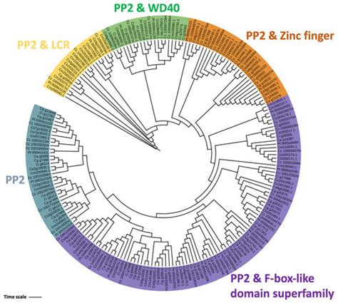 Chromosome-Scale, De Novo, Phased Genome Assemblies of Three Australian ...