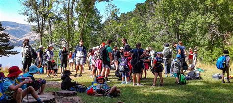 Holiday Programme 的图像结果