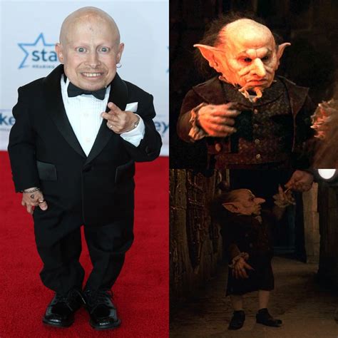 Verne Troyer Harry Potter