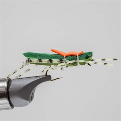 Image result for Morrish Hopper Fly Pattern