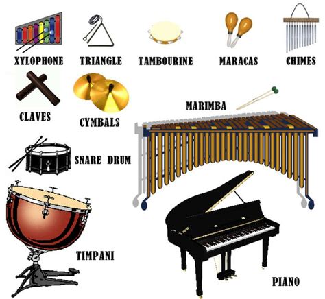 Image result for percussion instruments