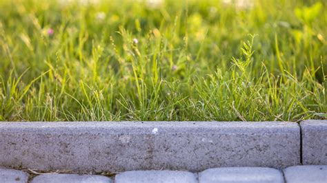 Homeowner stuns with curbside transformation that turned parking strip ...