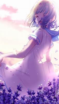 Hd Wallpaper For Mobile Anime by Anime Purple Flowers Free 4k Hd Wallpaper For Mobile Anime