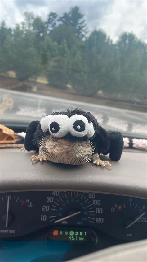 Image result for Draw Mech Tutorials