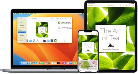 What is iCloud? - Apple Support (IN)
