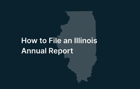 Illinois Annual Report Filing Guide