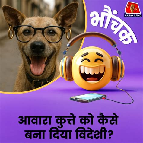 गली के आवारा कुत्तों को 'मॉडिफ़ाई' करके बेचने वाले कौन? भौंचक - Who is ...