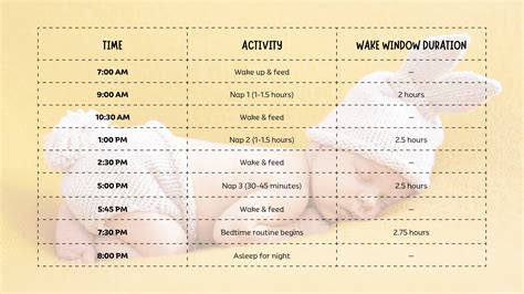 Wake Window for 6 Month Old: Sleep Schedule Guide - Holistic Moms