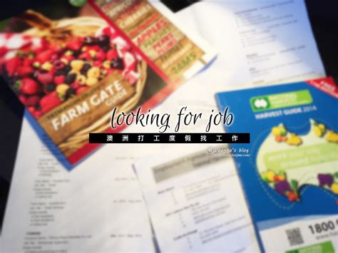 如何在澳洲找工作？｜How To FIND A JOB In Australia
