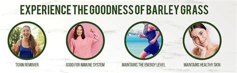 ERBZENERG®Grape seed Extract 60 Capsules- (Pack of 2) : Amazon.in ...