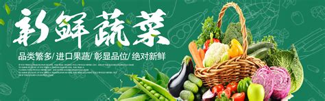 搜索结果-成都蔬菜批发是什么-成都蔬菜批发价格-新津县欣欣家庭农场