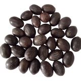 Buy Lotus Seeds online in India | Premium Organic Lotus Flower Seeds ...