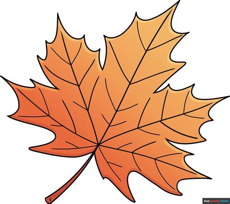 Image result for Fall Leaves Drawing