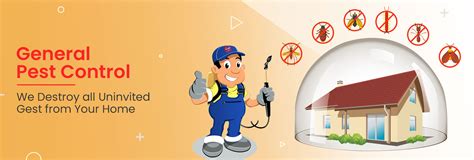 Best pest control in Koramangala|Marathahalli|bangalore|Whitefield ...