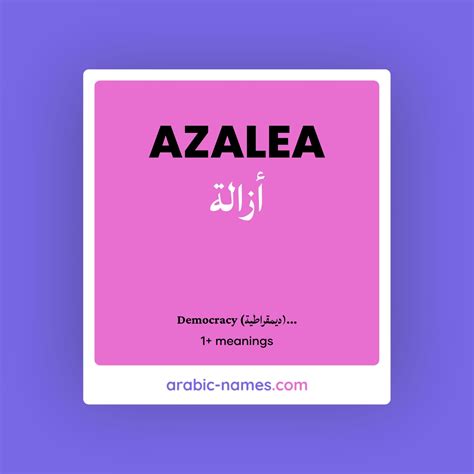 AZALEA (أزالة) Meaning in Arabic & English - Arabic Names