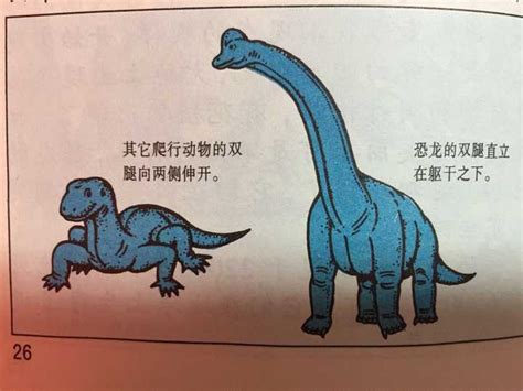 世界上真的有恐龙吗，有(现在还存在经过进化演变的恐龙)— 爱才妹生活
