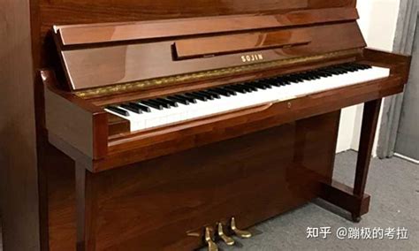 solomon钢琴,n钢琴家,slds_大山谷图库